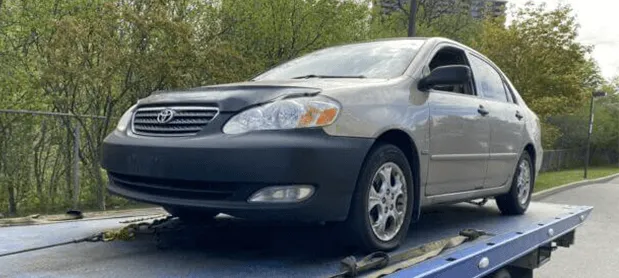 Autos verwerten in Münster